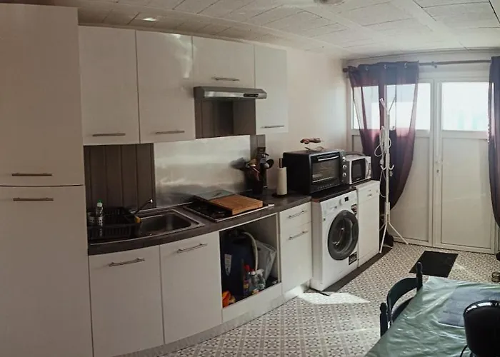 Entier Proche Des Plages De Sud Vendee * Saint-Michel-en-l'Herm